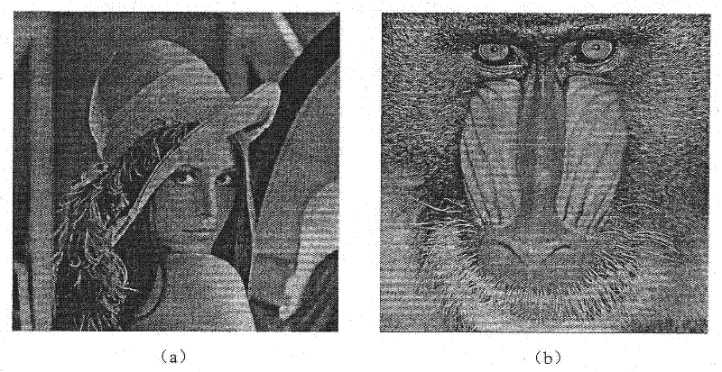 Low Bit Rate Image Compression Method Based on Downsampling and Interpolation