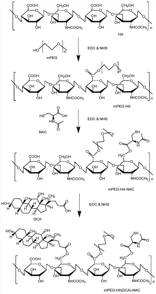 A kind of amphiphilic graft copolymer based on hyaluronic acid and its preparation method and application