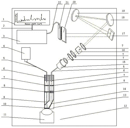 Device and method for fruit and vegetable pesticide residues based on laser Raman spectrometer