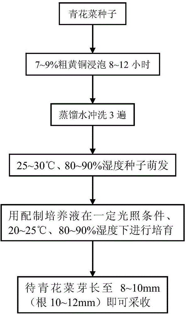 Cultivation method for broccoli bud rich in sulforaphane