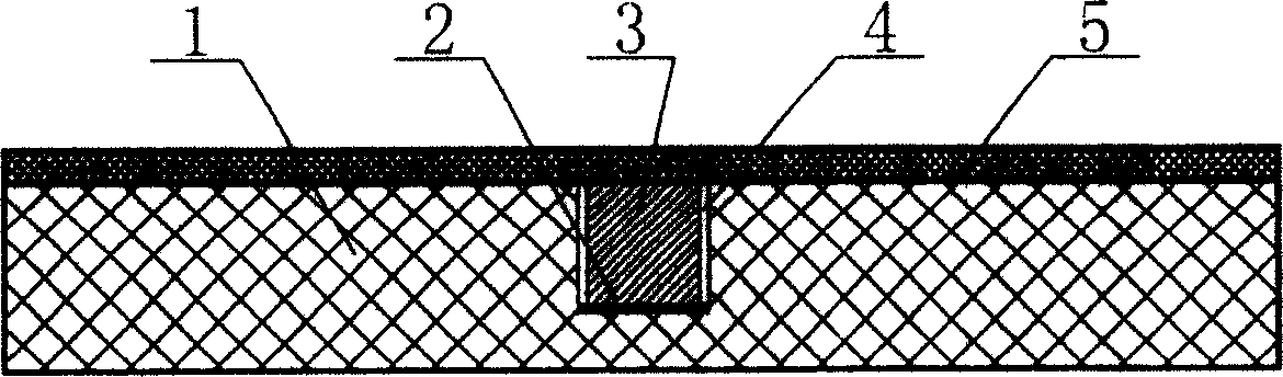 Floor board imserted with magnetic and its mfg. method