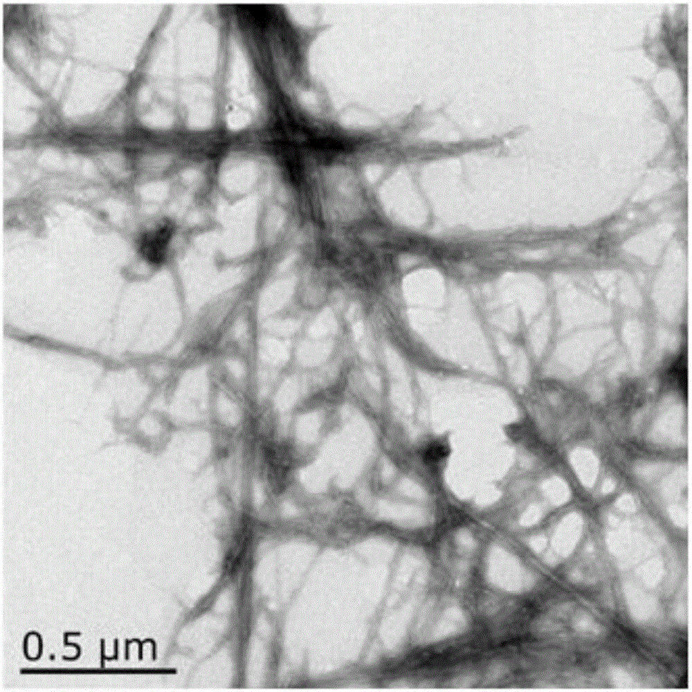 Method for extracting cellulose nanofiber from Humulus stems