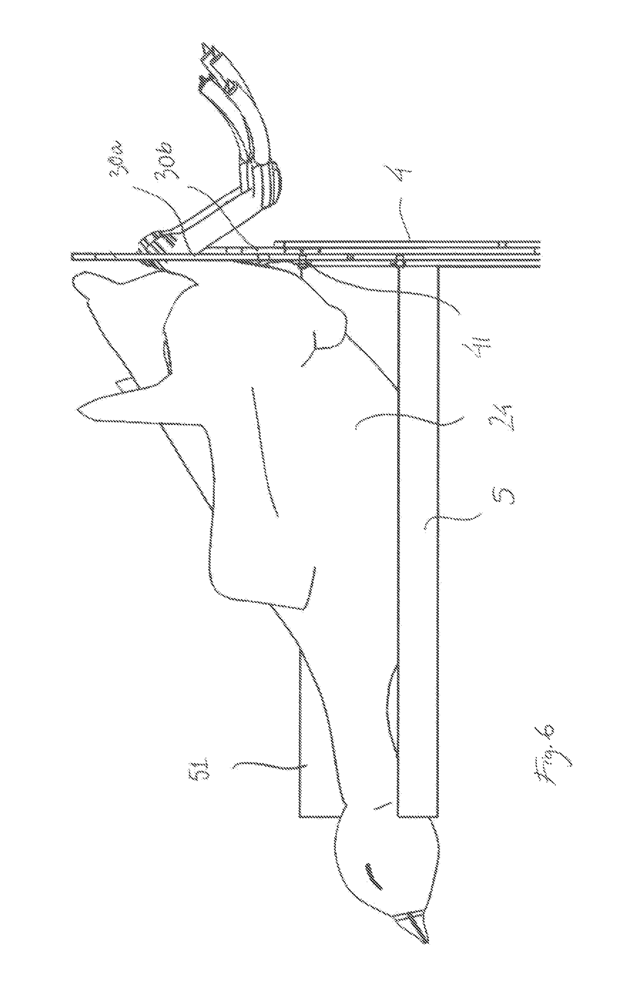 Method and an apparatus for arranging a bird in a position for being suspended from a shackle