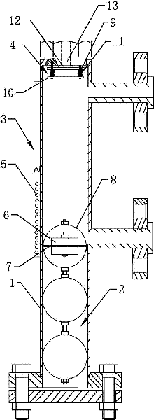 Magnetic liquid level meter