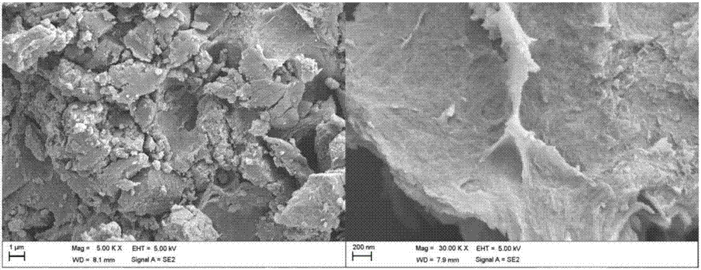 Preparation method for graphene-based cobalt carbonate catalyst for oxidizing cyclohexene