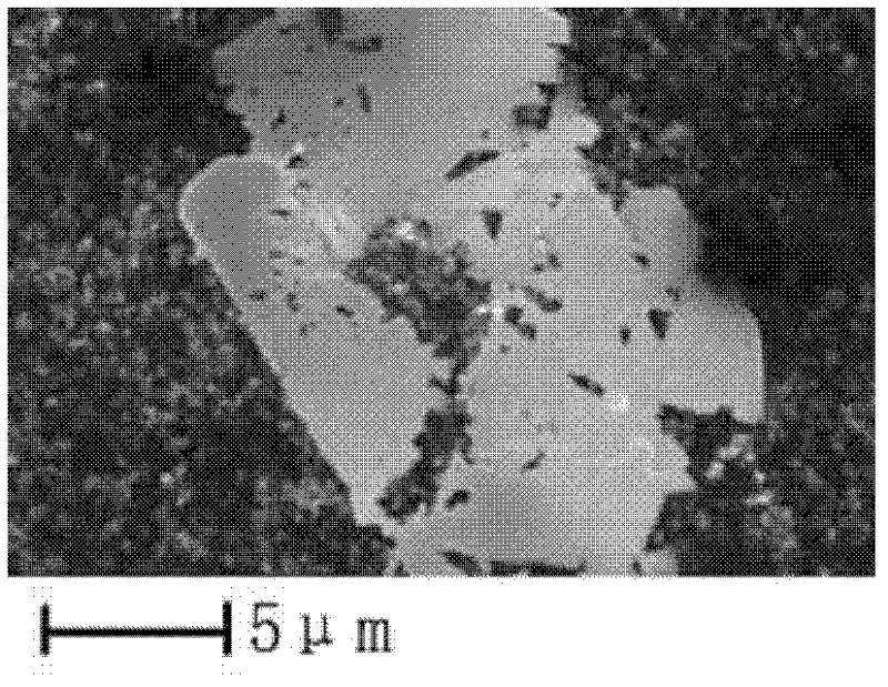 Method for electrochemically aided preparation of silver powder with special form