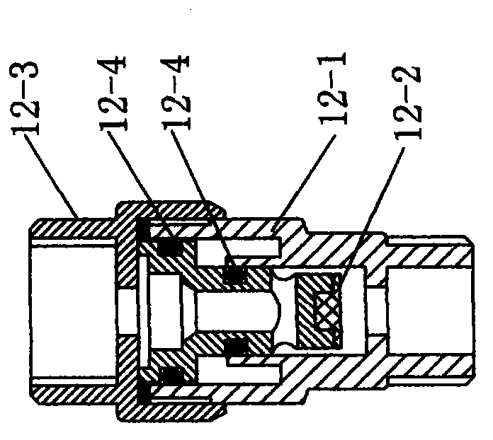 External instantaneous central water heater with pressure regulating function