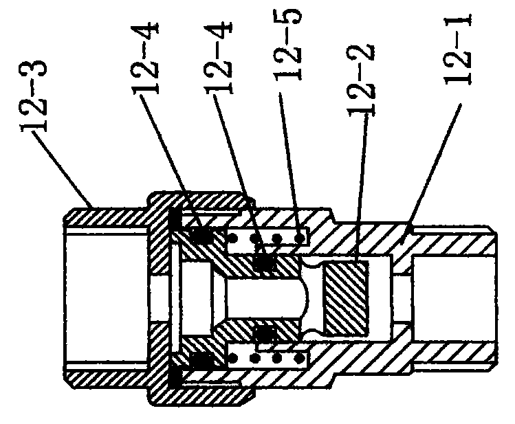 External instantaneous central water heater with pressure regulating function