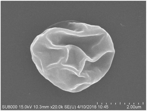 Preparation method of oxygen consumption protective layer on chlorella cell surface