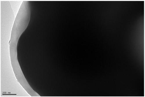 Preparation method of oxygen consumption protective layer on chlorella cell surface