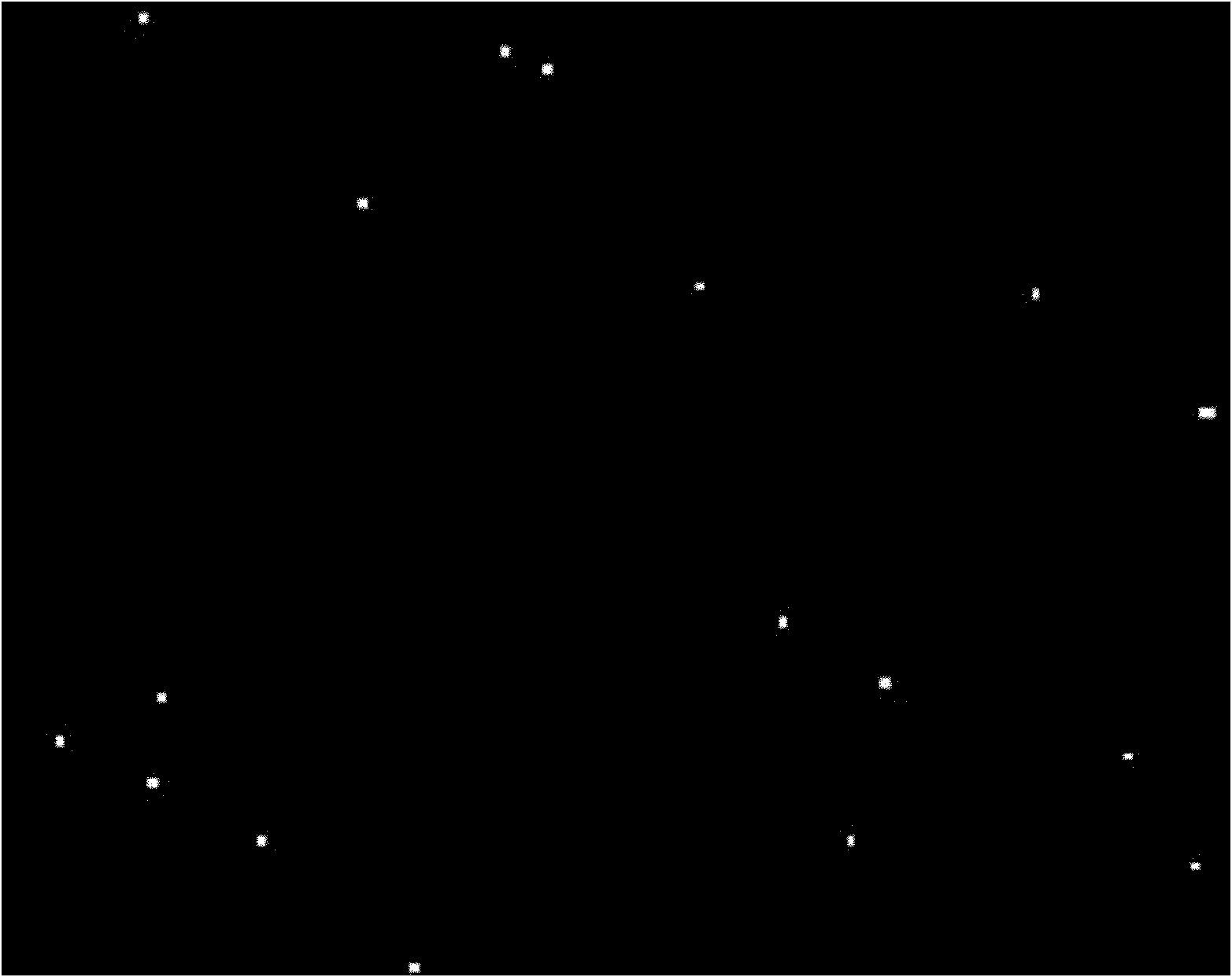 Folate-targeted hydrophobic medicine-loaded polymeric vesicle and preparation method and use thereof