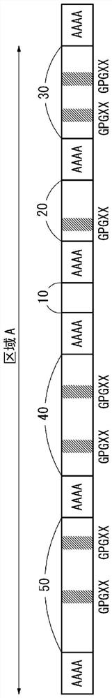 Rubber-reinforcing fiber, rubber product, tire cord, and tire