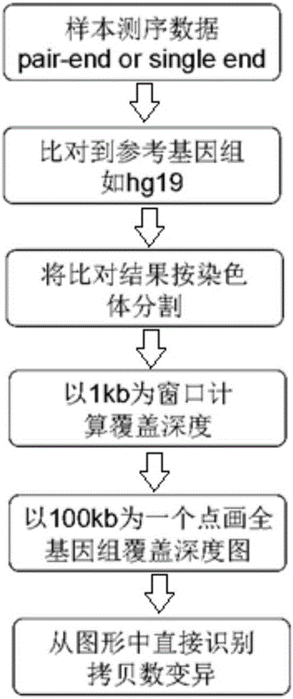 Analysis system for gene copy number variation