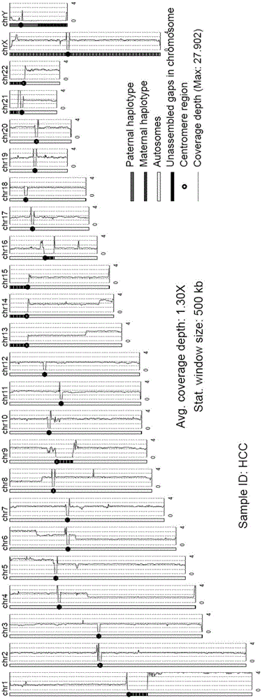 Analysis system for gene copy number variation