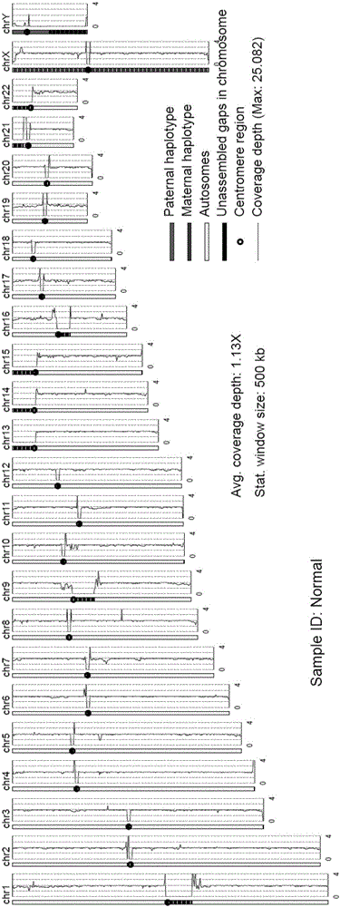 Analysis system for gene copy number variation