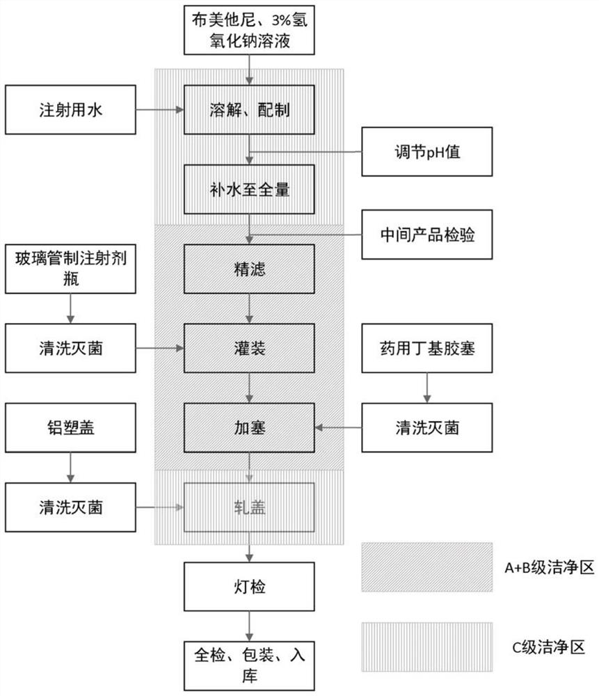 Bumetanide injection and preparation method thereof