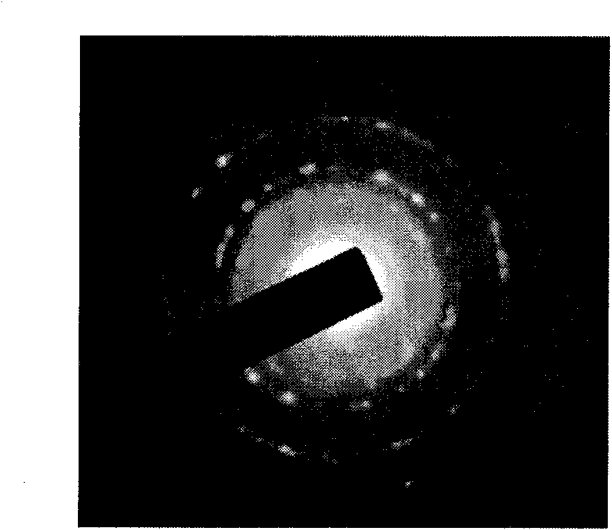 Rod-like one-dimensional polycrystalline gamma-Al2O3 nanocrystal grains and preparation method thereof