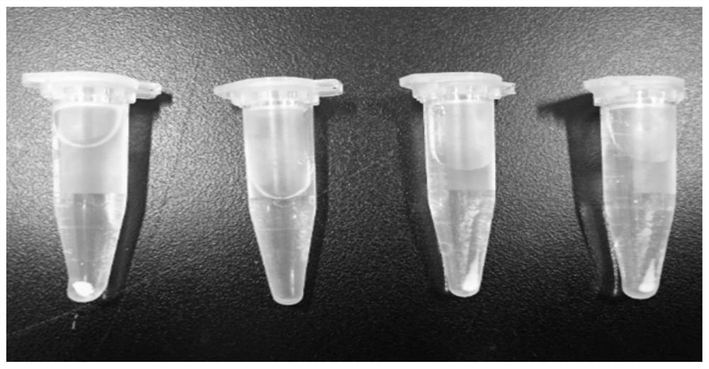 A preparation method for photodegradable organic toxic gas multilevel nanocomposite material