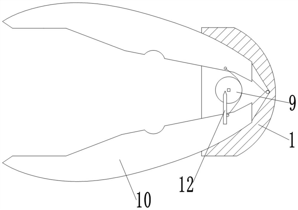 Plum planting equipment and methods of use