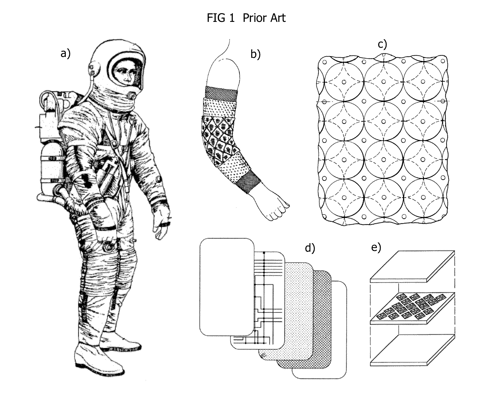 Skins Of Flexible Intelligence