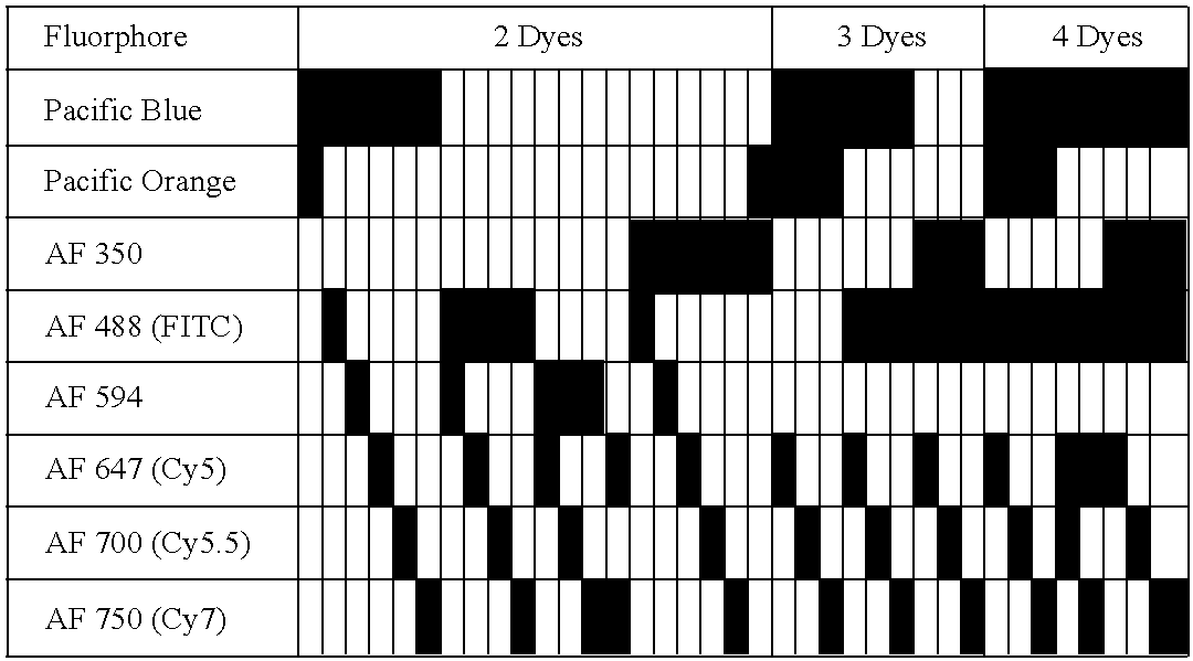 Primer-directed chromosome painting