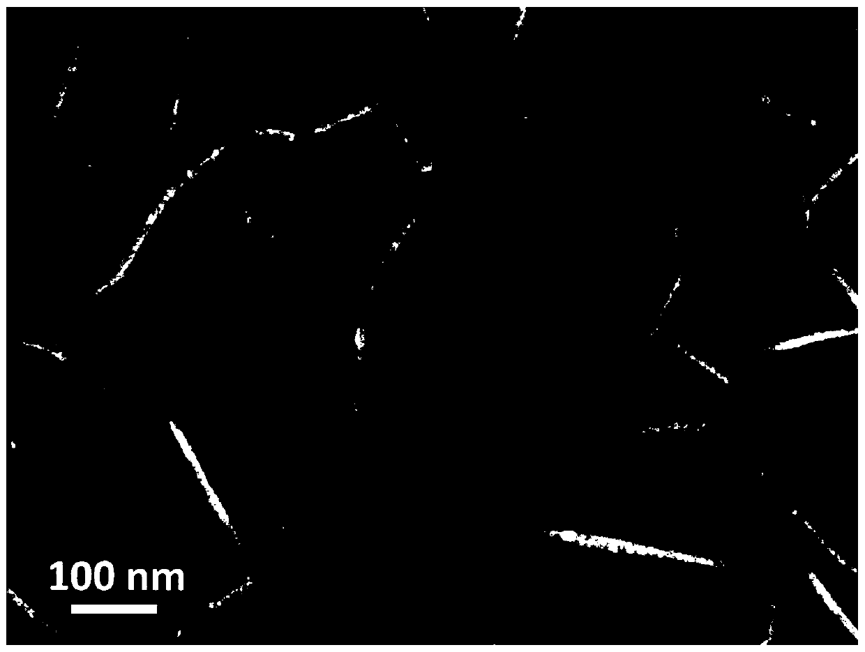 Tin sulfide-nickel sulfide heterogeneous nanosheet array structure and preparation method thereof