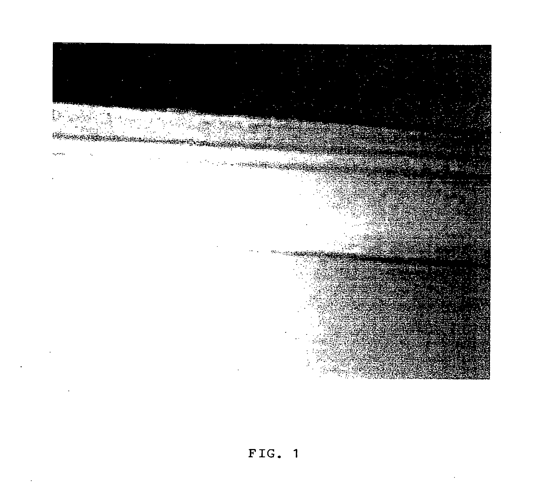 Cut resistant paper and paper articles and method for making same