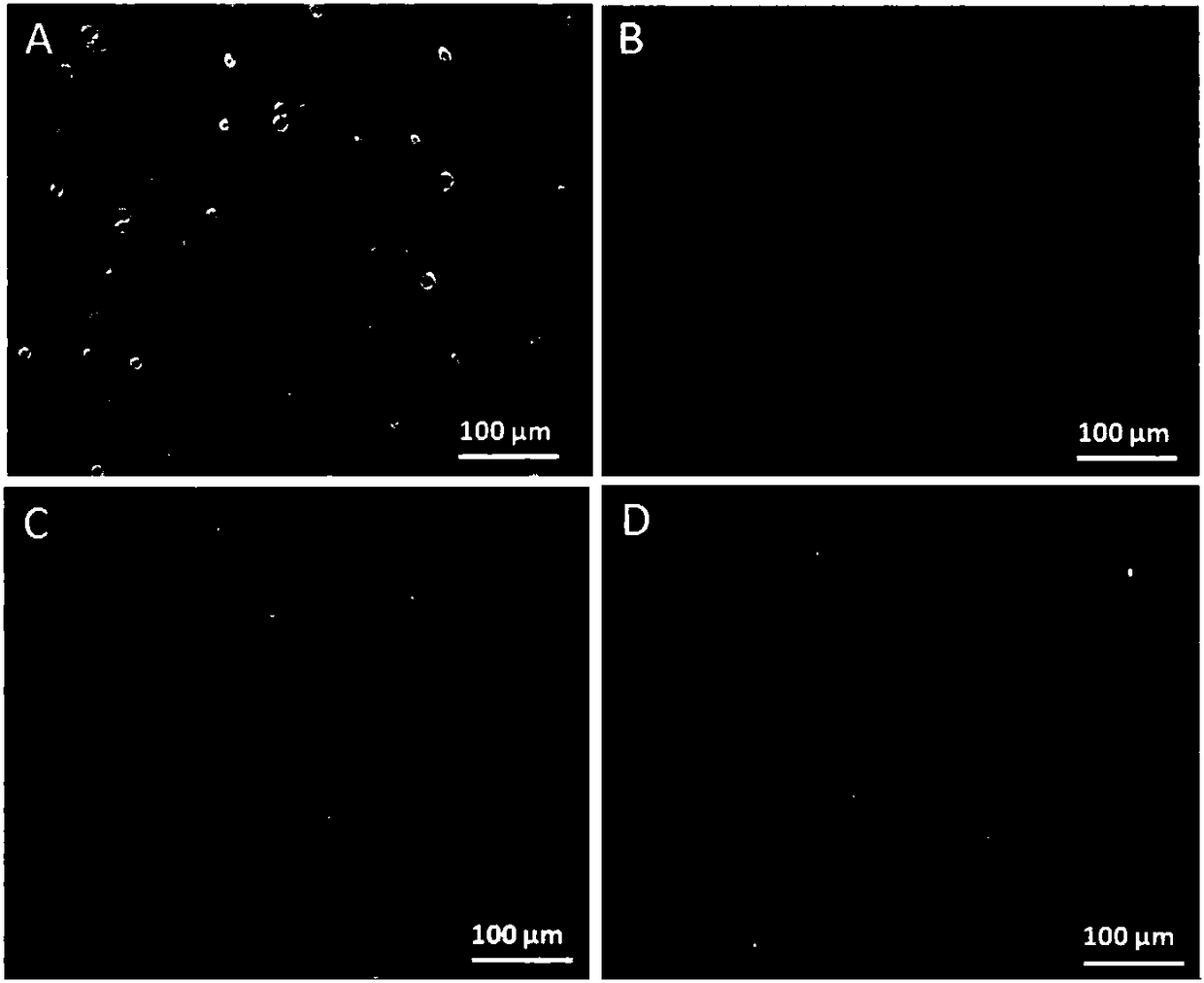 Method for inducing human ADSC (Adipose-Derived Stem Cells) to be differentiated into LCs (Leydig Cells) by micromolecules