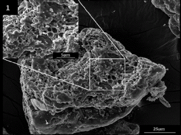 Porous styptic powder and preparation method thereof