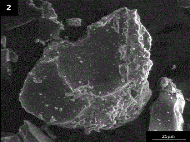 Porous styptic powder and preparation method thereof