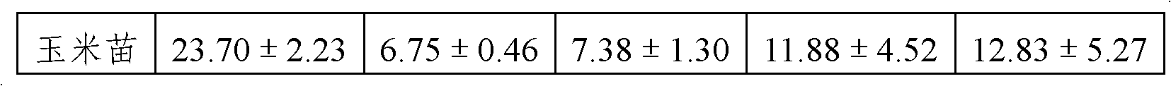 Athetis lepigone larva feed and preparation method thereof