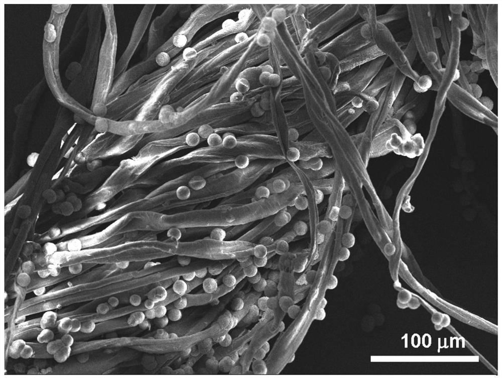 Multi-layer copper-based zeolite fiber medical material, medical protective article and manufacturing method thereof