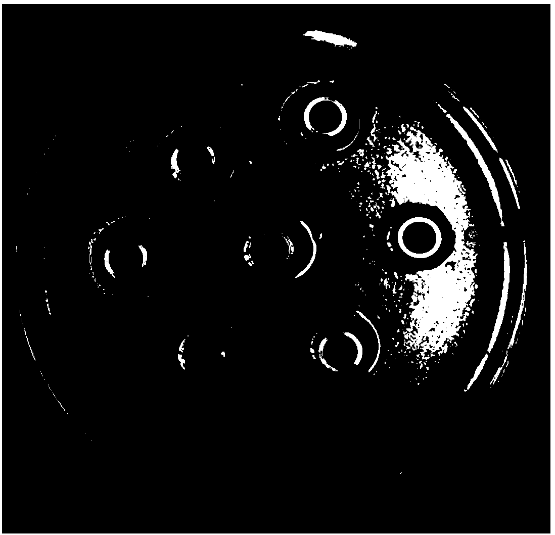 Compound type antibiotic-free feed additive