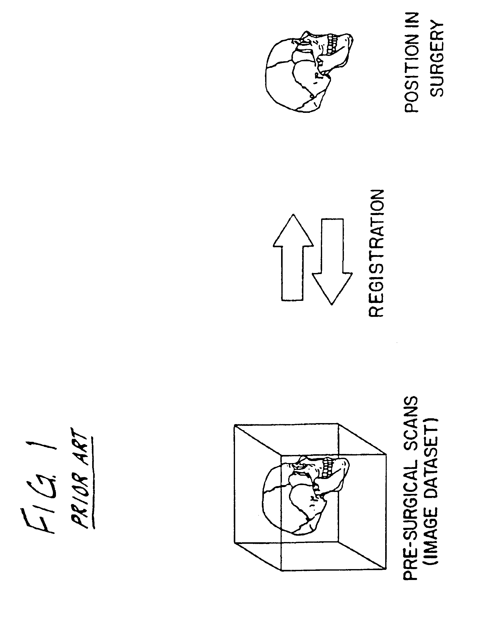 System for use in displaying images of a body part