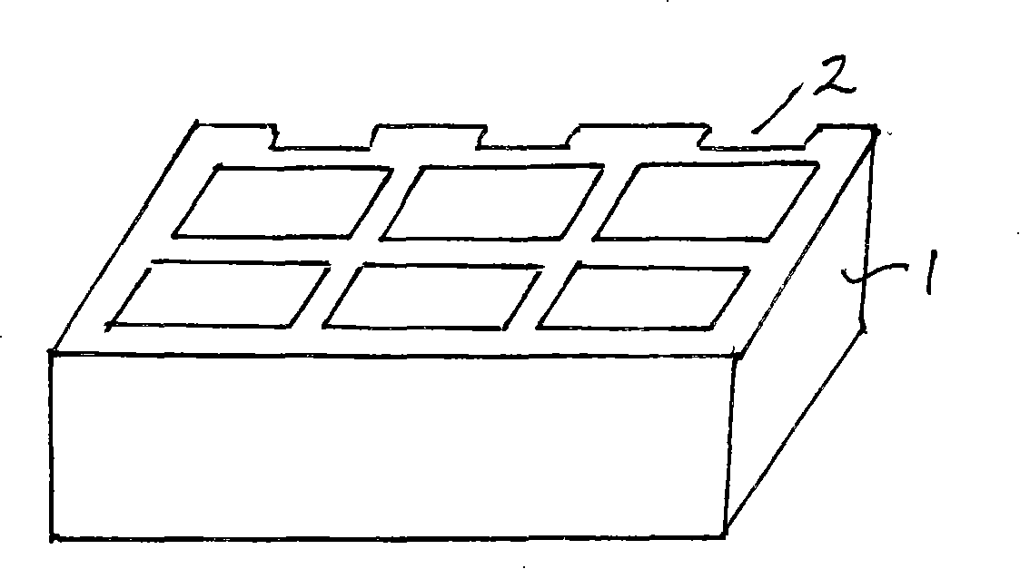 Preparation method of paraffin organization chip