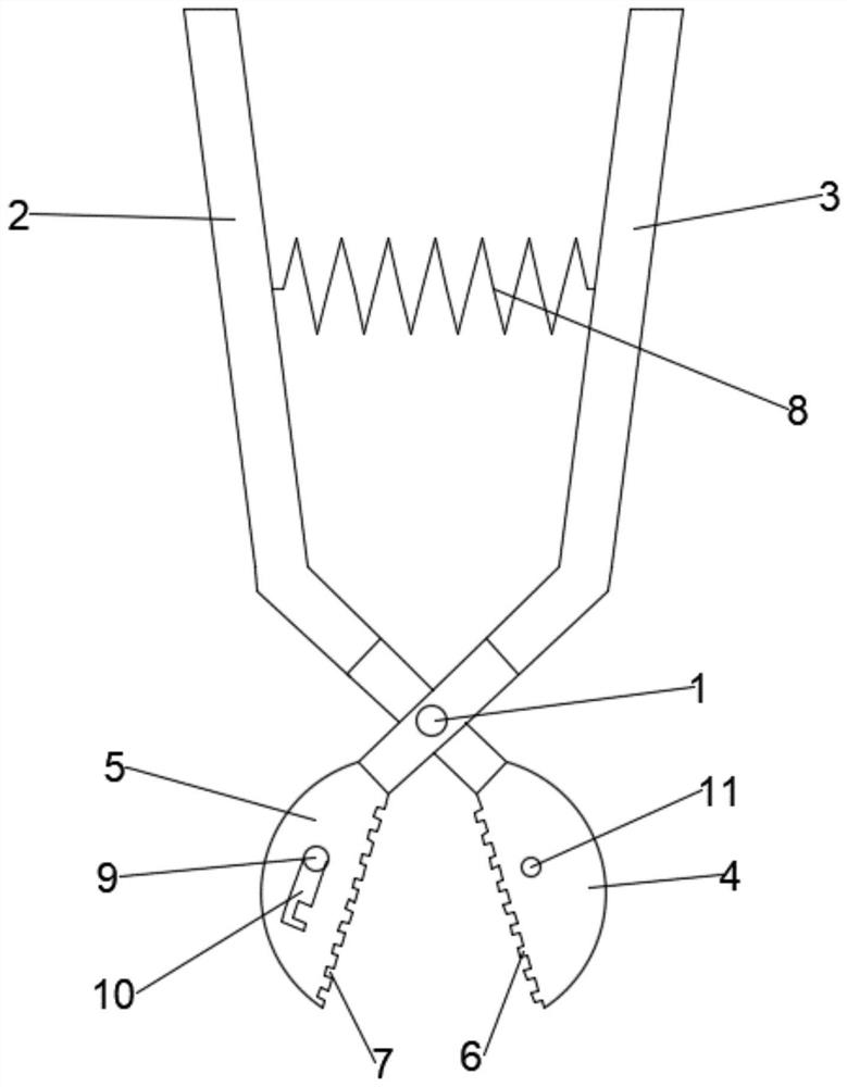 Powder medicine clamping sampler for biochemical experiments