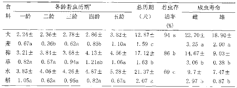 Method for raising small brown rice planthopper by utilizing soil-less cultured barley seedling