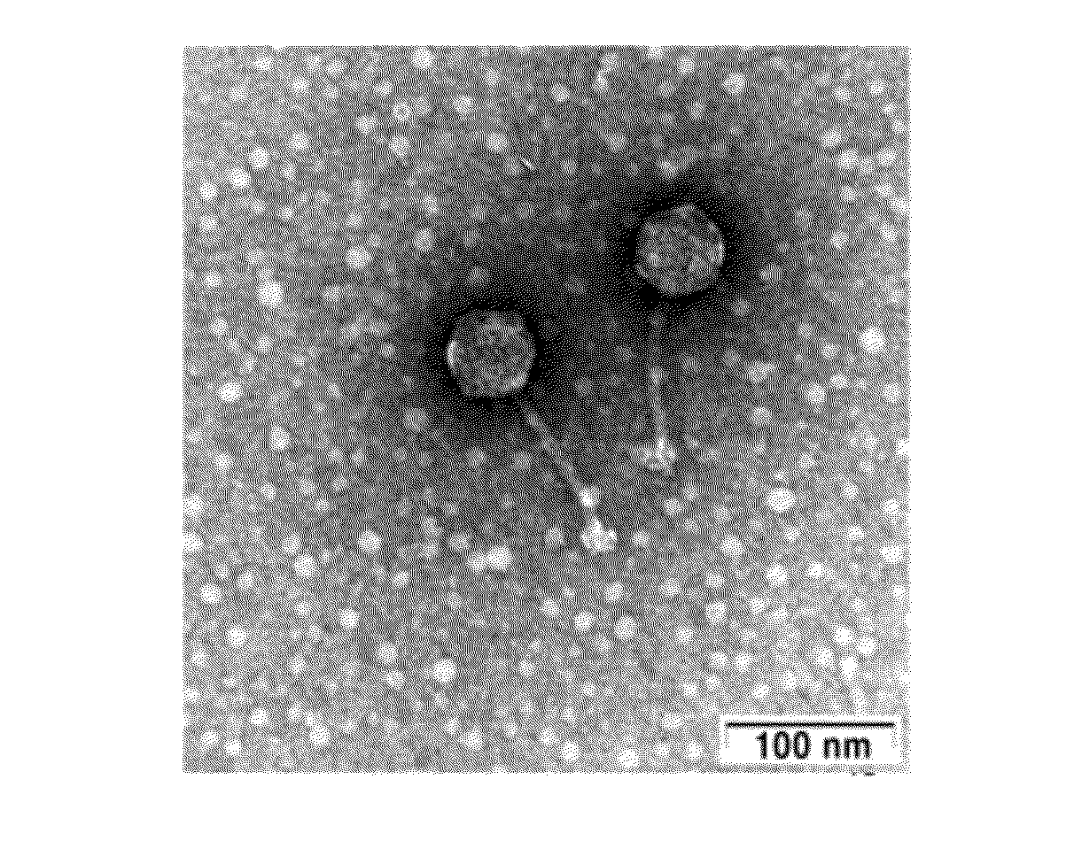 Novel bacteriophage and antibacterial composition comprising the same