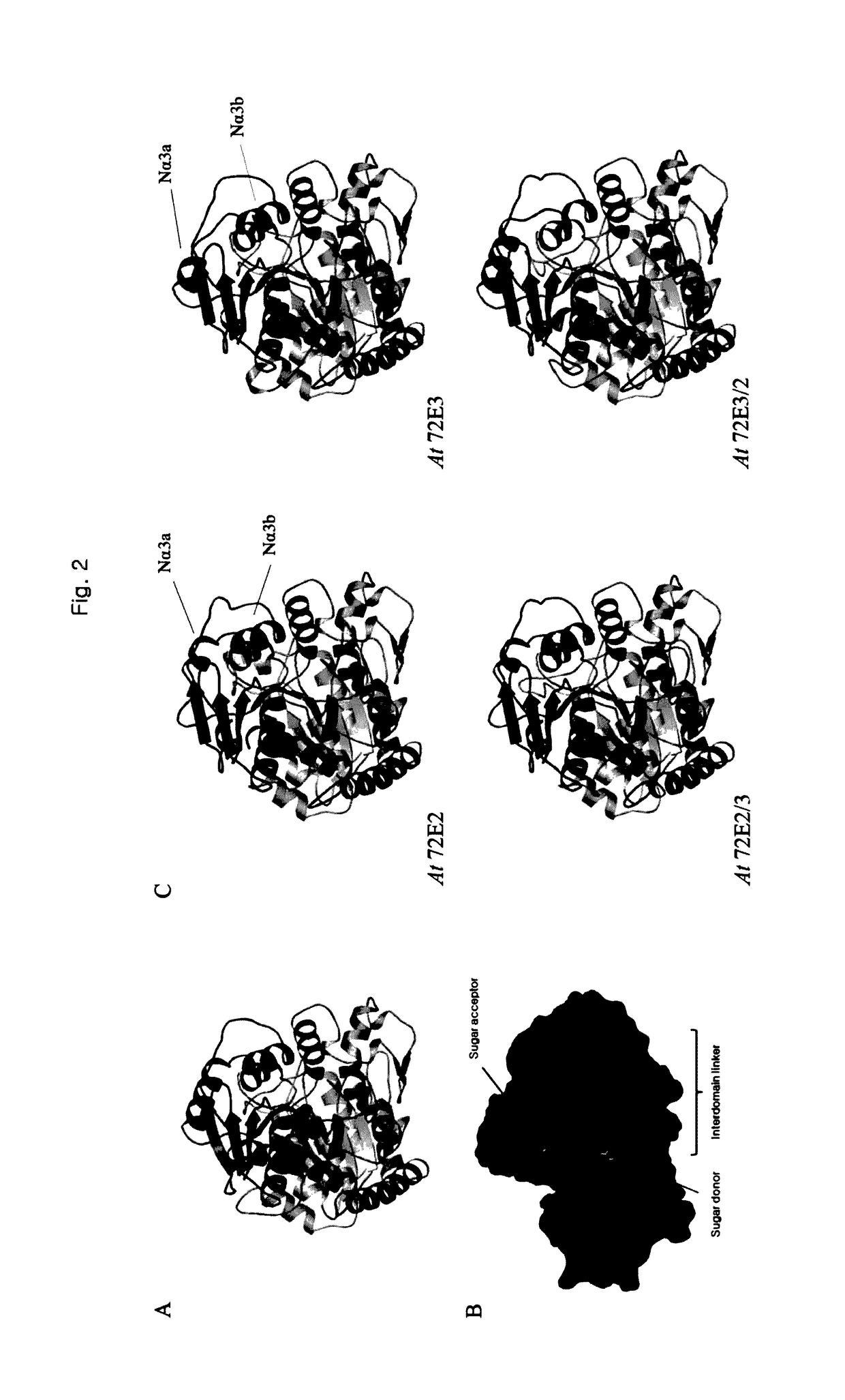 Method for producing transgenic plant with increase syringin production and plant produced by using the same