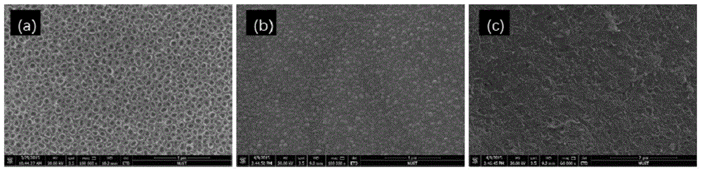 Antimony-doped tin oxide-carbon nanotube compounded adsorptive electrode and preparation method thereof