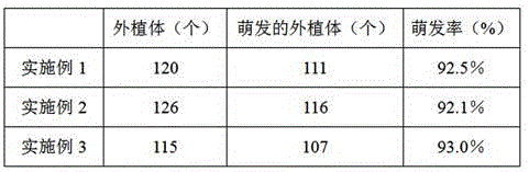 Rapid propagation method of kudzu roots