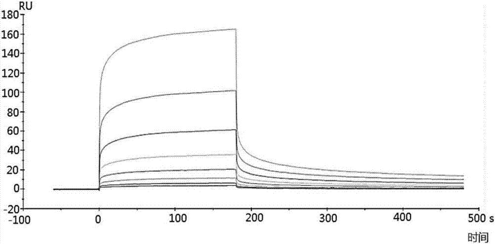 Polypeptide and application thereof to preparation of medicine for treating and preventing tumors