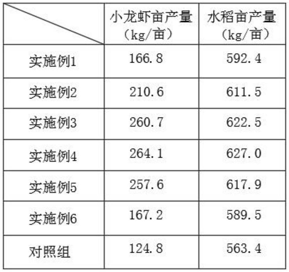 Rice and crayfish co-cropping planting and breeding method