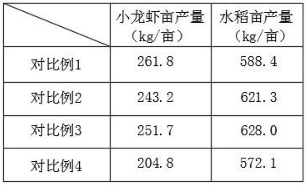 Rice and crayfish co-cropping planting and breeding method