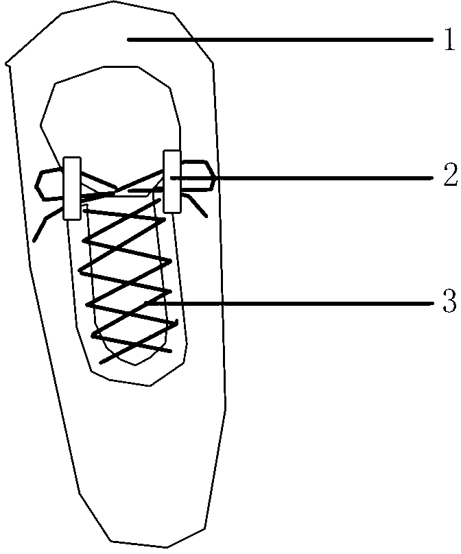 Shoes with fixed shoelaces