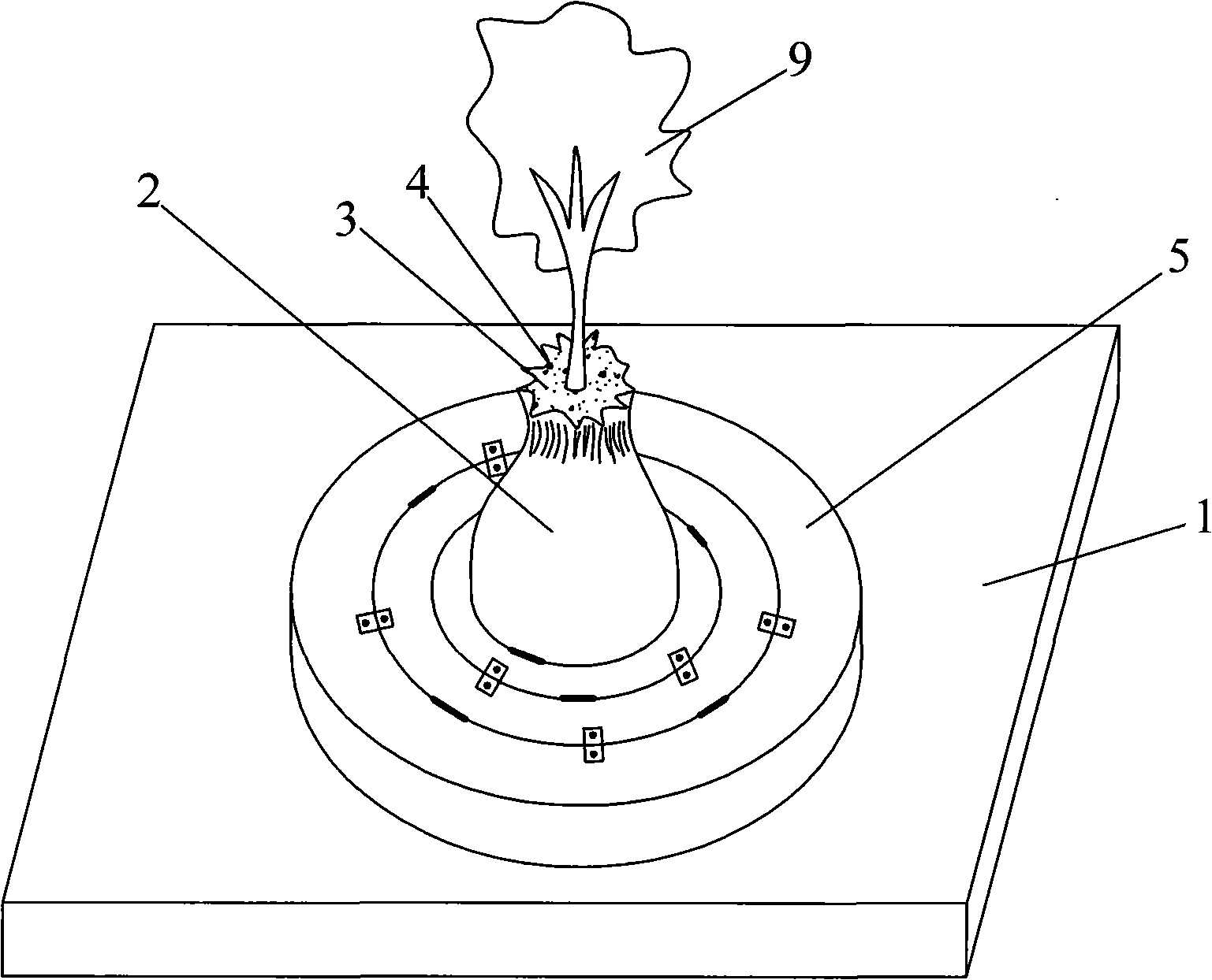 Roof planting greening structure