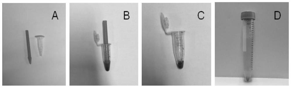 Plant extract, preparation method thereof and application of plant extract as plant growth regulator