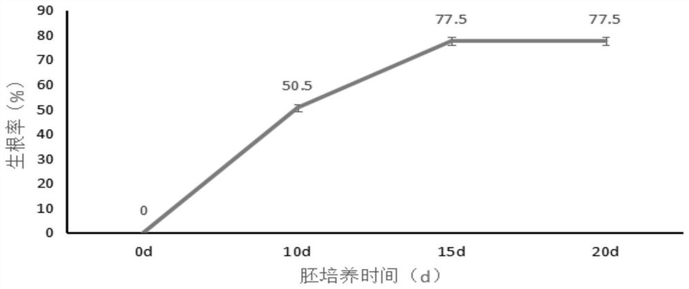 Plant extract, preparation method thereof and application of plant extract as plant growth regulator