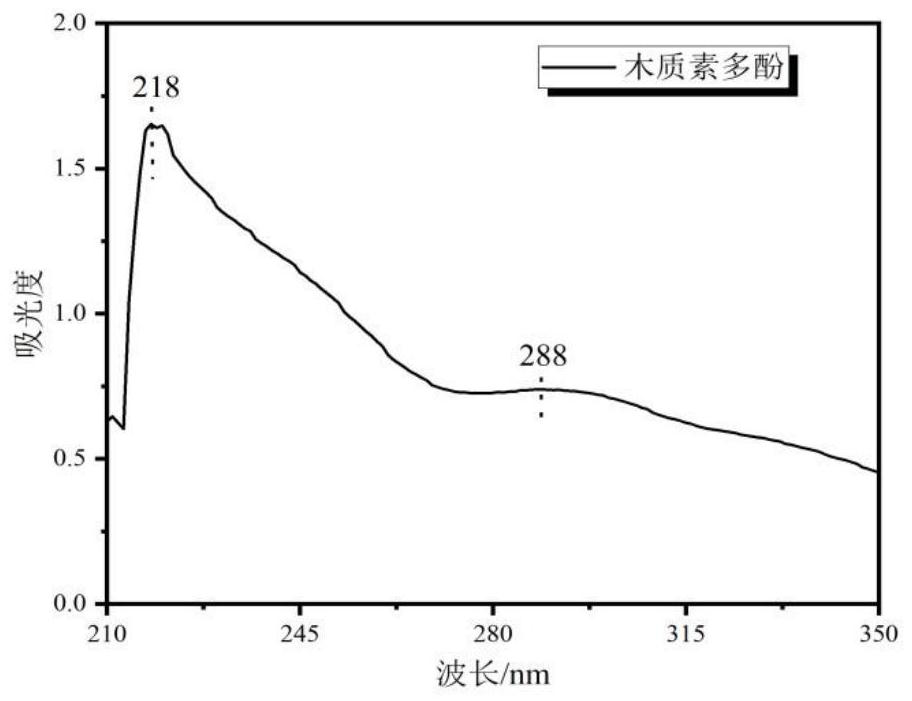 Method for extracting multifunctional active biological polyphenol from waste wood fiber, and application of multifunctional active biological polyphenol