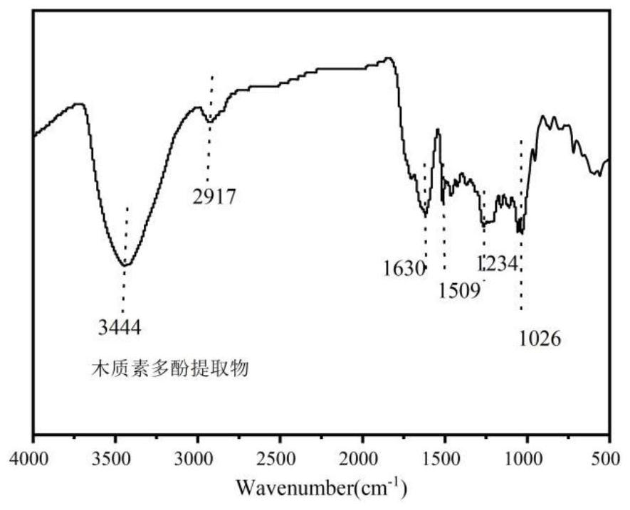 Method for extracting multifunctional active biological polyphenol from waste wood fiber, and application of multifunctional active biological polyphenol